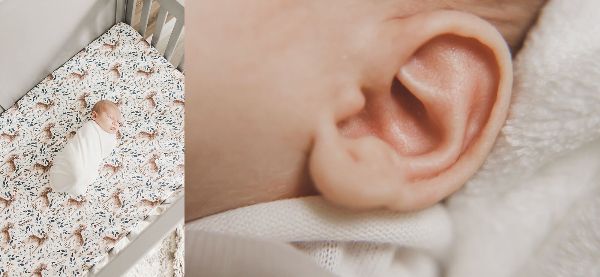 Pittsburgh Newborn Photographer