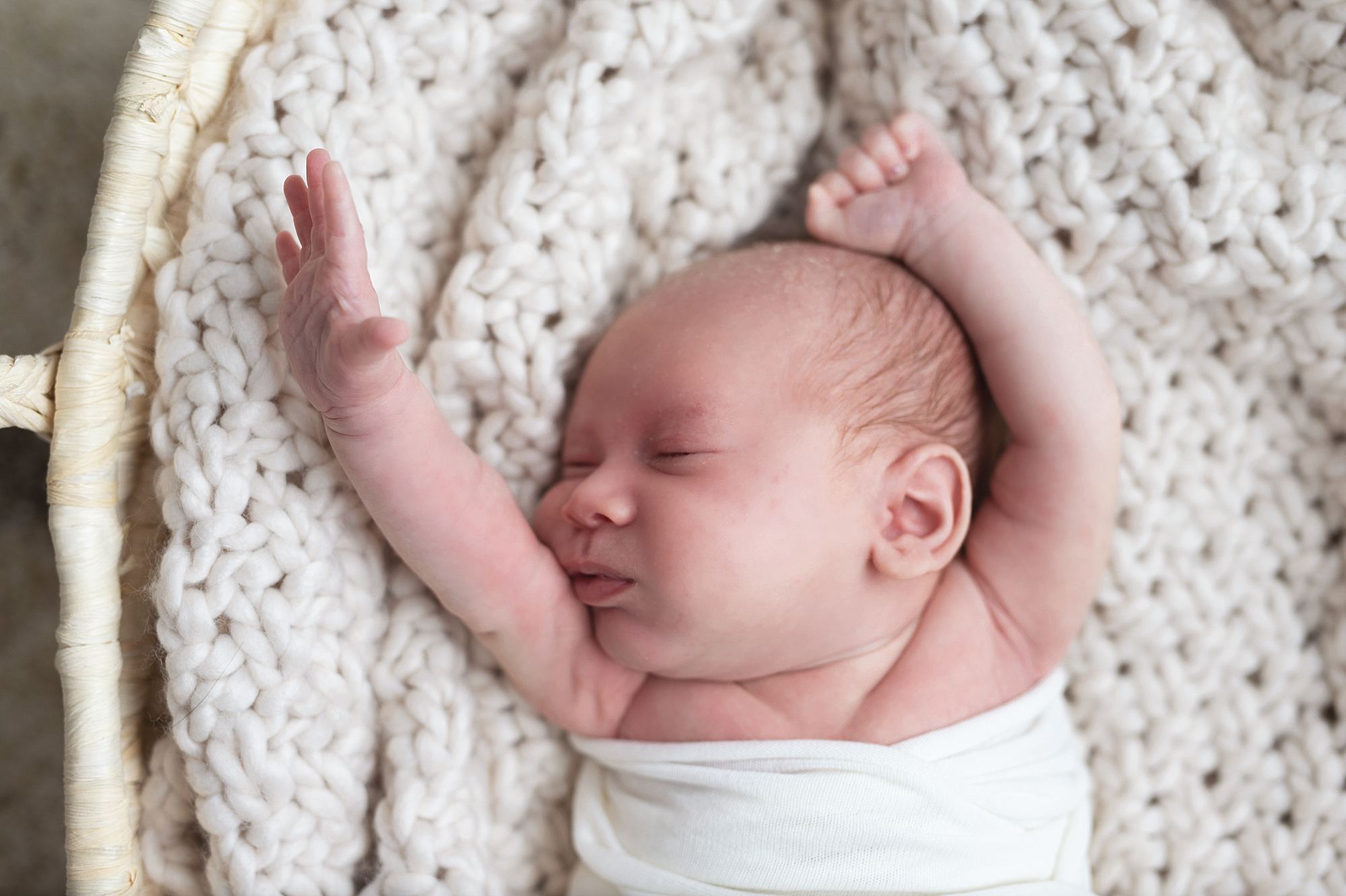 Newborn Photographer Pittsburgh PA 