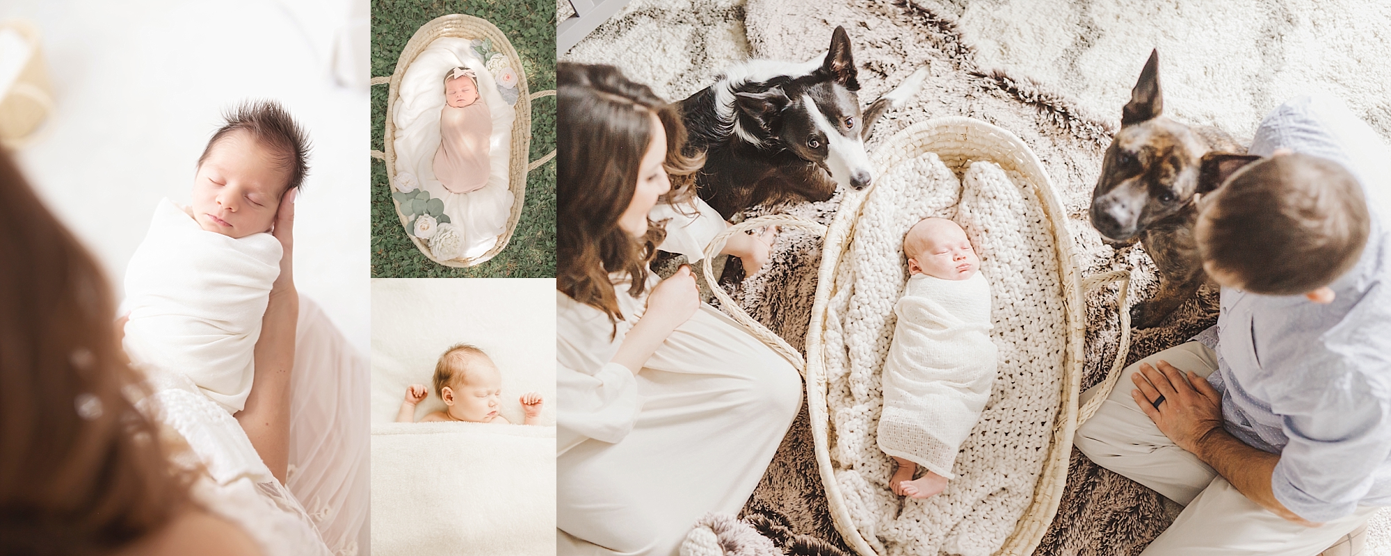 Venetia Newborn Photographer