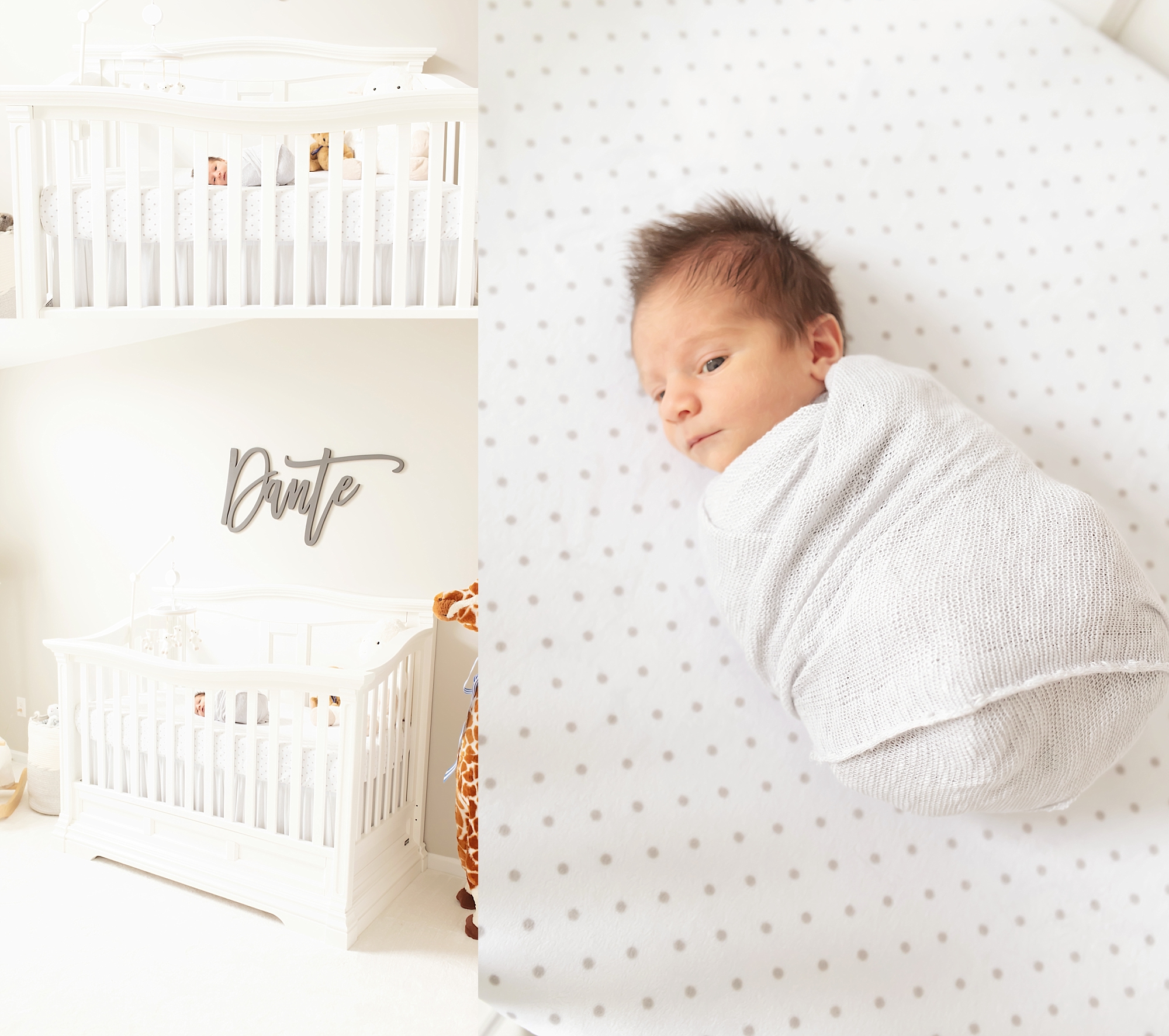 Pittsburgh PA Newborn Lifestyle Session