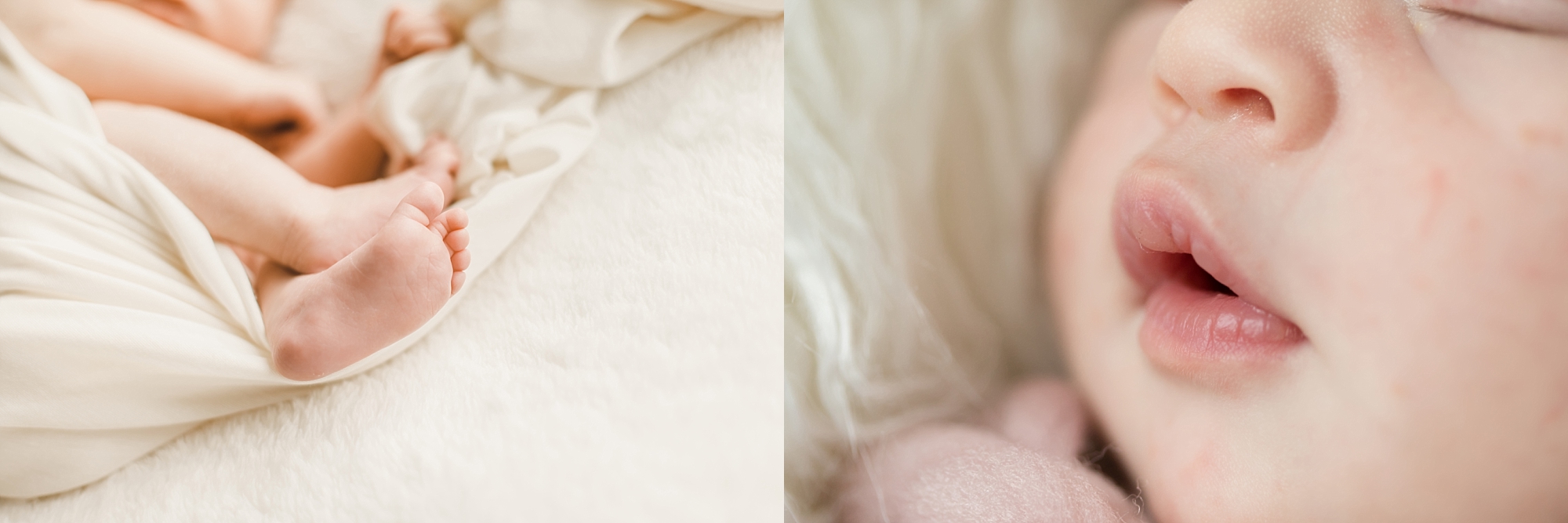 Newborn Photographer Near Me