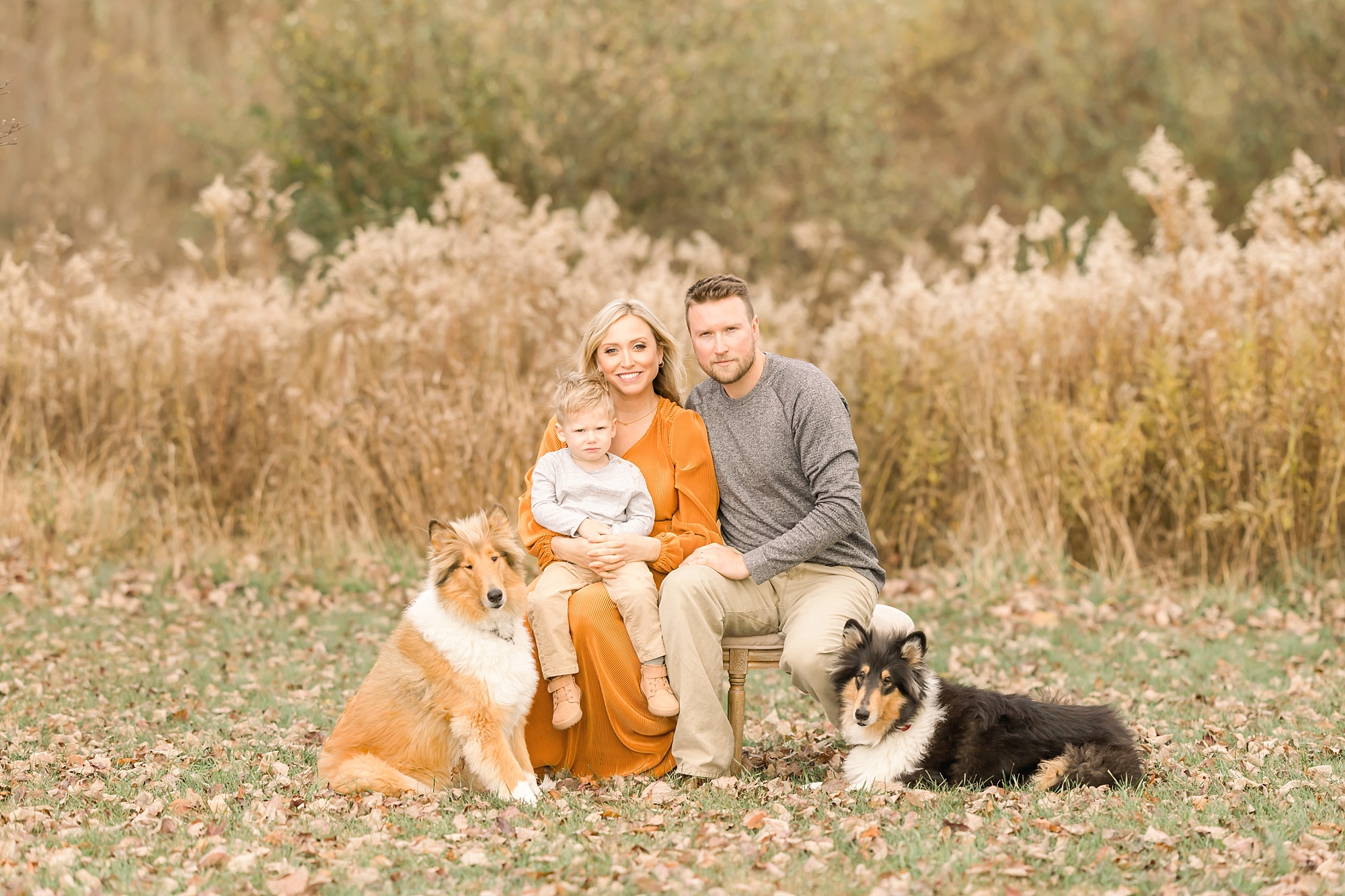 Family Maternity Photo Shoot outdoors Pittsburgh