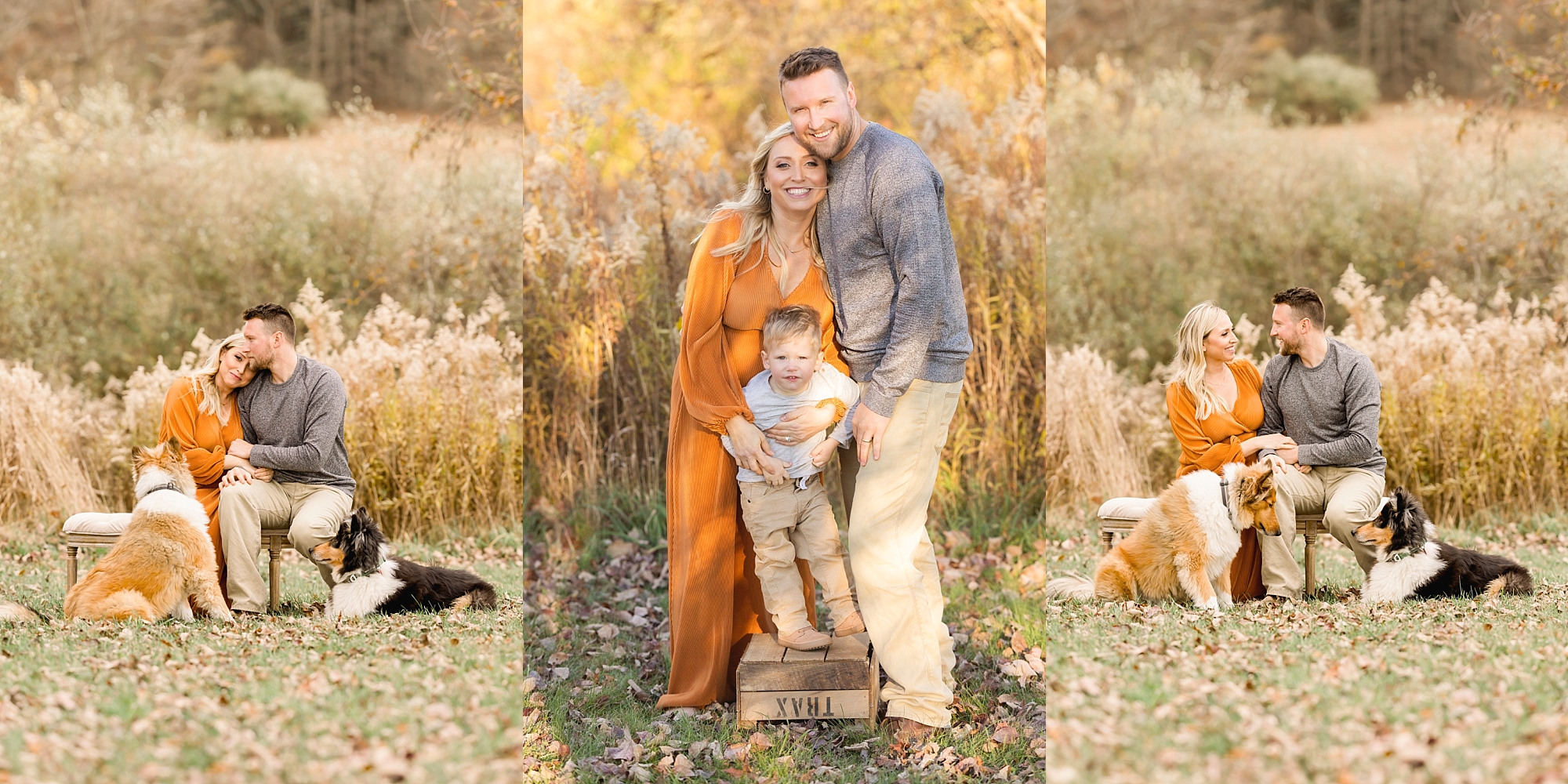 Fall family photos