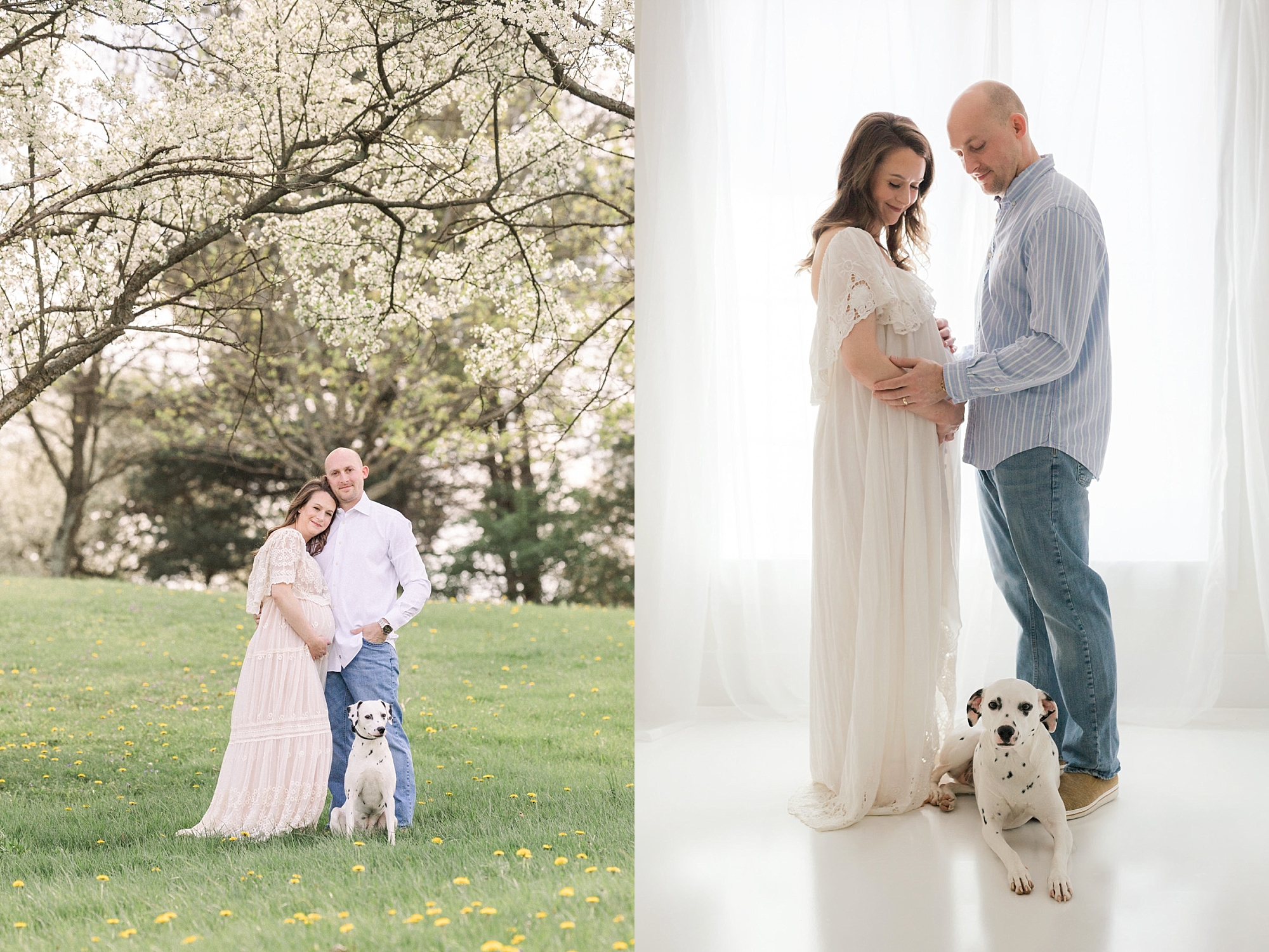 family pictures with dalmation 