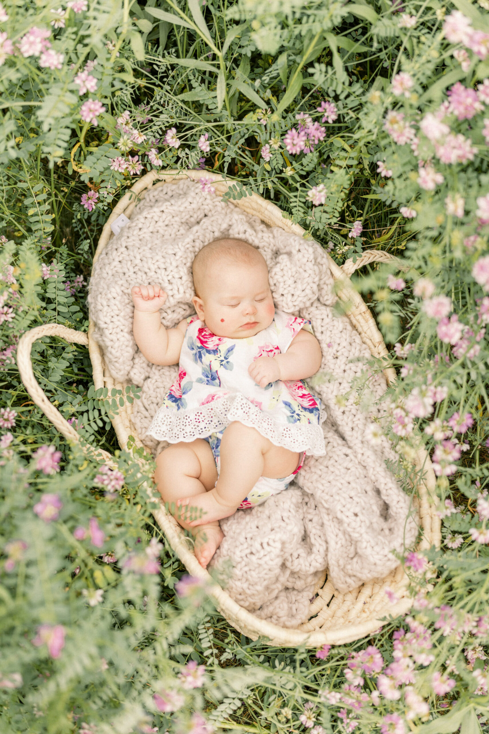 Eastern Ohio outdoor family photo shoot with baby girl sleeping in moses basket in wildflowers