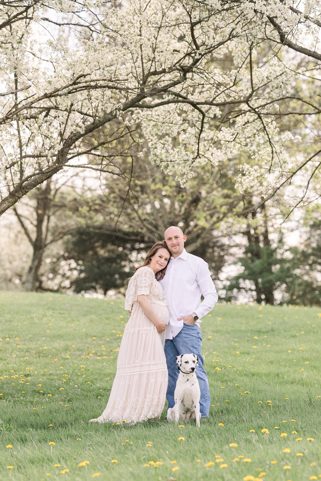 Happy expecting parents stand in a field under a blooming tree while mom wears a long white maternity gown for some Maternity Photos Pittsburgh